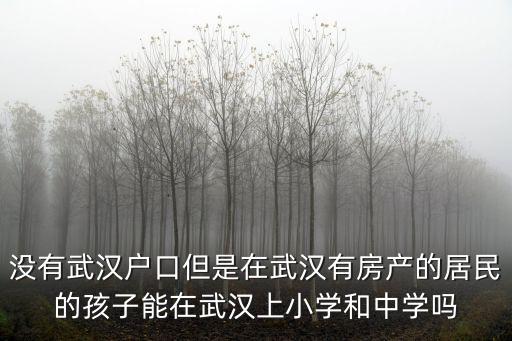 沒有武漢戶口但是在武漢有房產的居民的孩子能在武漢上小學和中學嗎