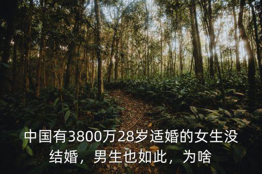 中國有3800萬28歲適婚的女生沒結婚，男生也如此，為啥