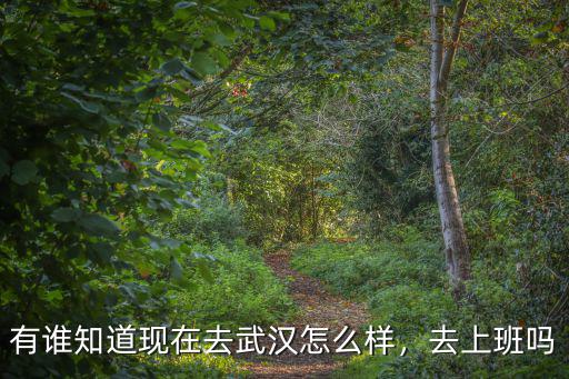 武漢人怎么樣吃醬肉,在武漢生活的人