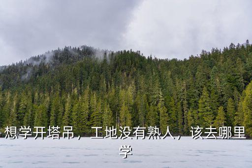 成都正規學塔吊在哪里,哪里有學開塔吊的