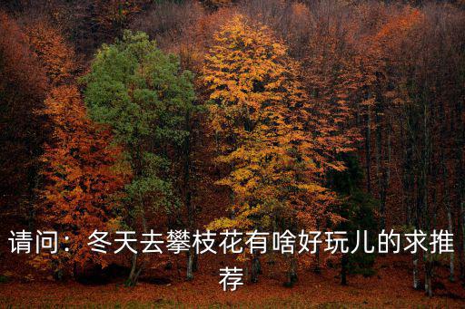 攀枝花冬天哪里有花,冬天去攀枝花有啥好玩兒的