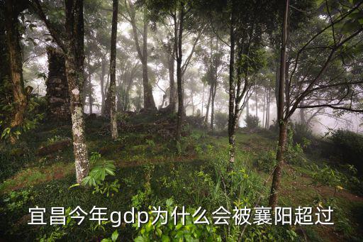 宜昌今年gdp為什么會被襄陽超過