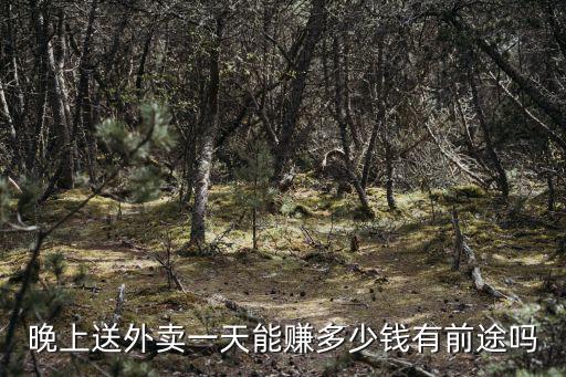 廊坊晚上兼職送外賣能掙多少,晚上送外賣一天能賺多少錢