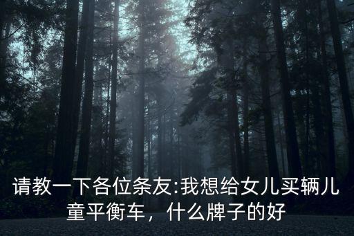 請教一下各位條友:我想給女兒買輛兒童平衡車，什么牌子的好