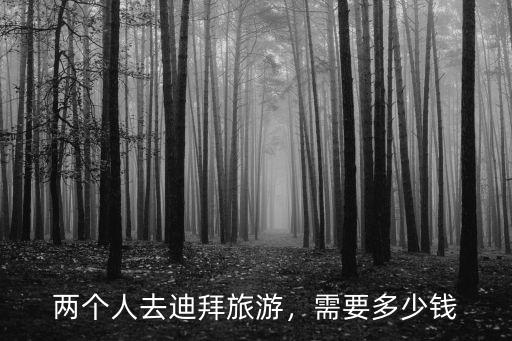 唐山到迪拜旅游多少錢,去迪拜旅游五天大約要多少錢