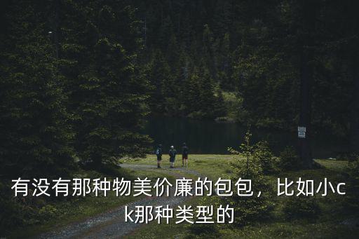 瀘州哪里可以買到小ck的包,比如小ck那種類型的