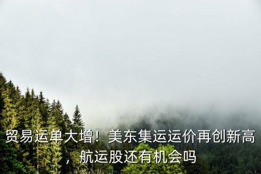 貿易運單大增！美東集運運價再創新高，航運股還有機會嗎