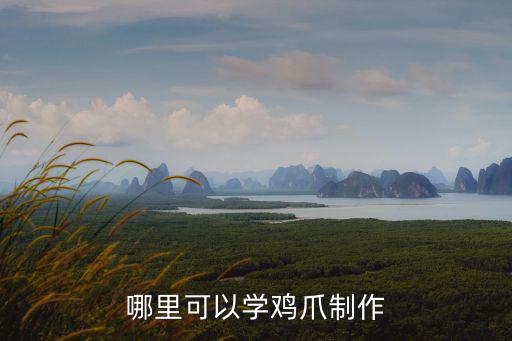 成都秘制當歸泡鳳爪哪里可以學,哪里可以學雞爪制作