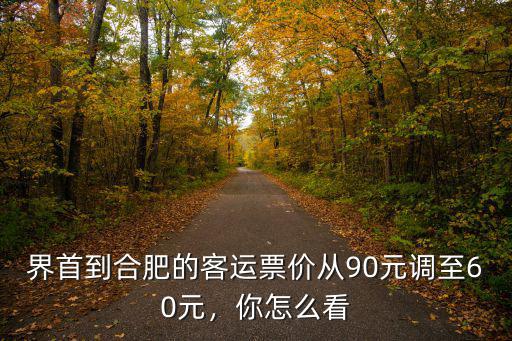 界首到合肥的客運票價從90元調至60元，你怎么看
