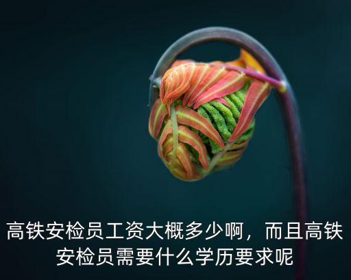 保定高鐵安檢員月工資是多少,高鐵安檢員工資大概多少啊