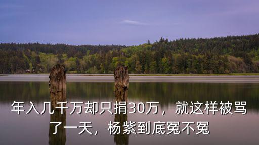 肖戰為河南捐款捐了多少萬,司馬南給河南捐款了么