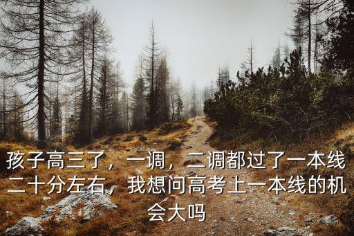 孩子高三了，一調，二調都過了一本線二十分左右，我想問高考上一本線的機會大嗎