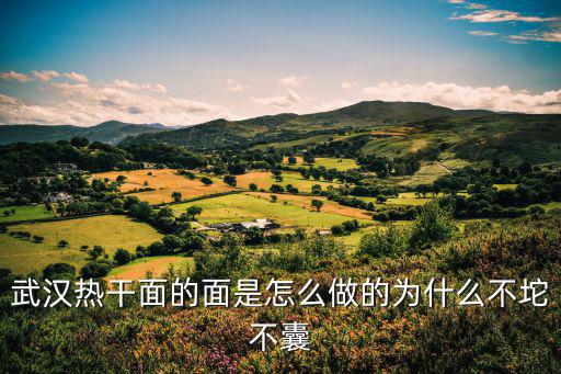 武漢熱干面的面是怎么做的為什么不坨不囊