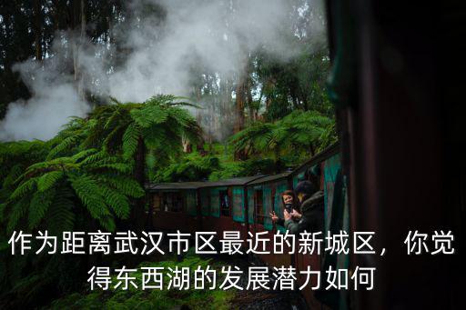 武漢東西湖東風實業怎么樣,武漢東風公司