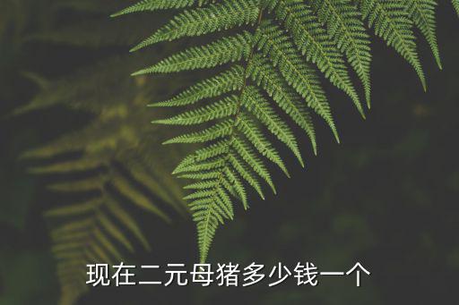 現在二元母豬多少錢一個