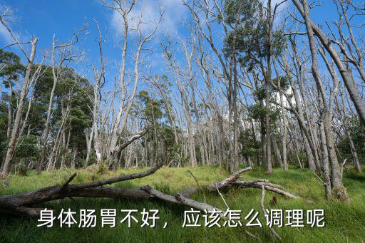 身體腸胃不好，應該怎么調理呢