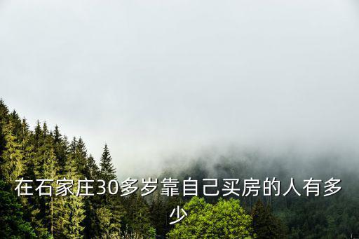 石家莊現在賣房的有多少人,現在石家莊斷供的房子多嗎