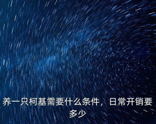 淮南市柯基幼犬多少錢一條,養一只柯基一年大概要多少錢