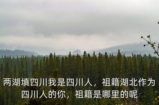 兩湖填四川我是四川人，祖籍湖北作為四川人的你，祖籍是哪里的呢