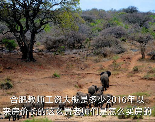 安徽在編老師工資大概多少,合肥教師工資大概是多少