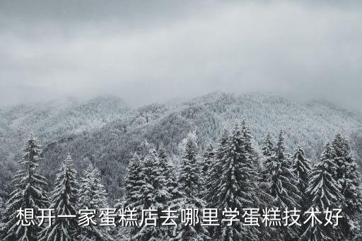 想開一家蛋糕店去哪里學(xué)蛋糕技術(shù)好