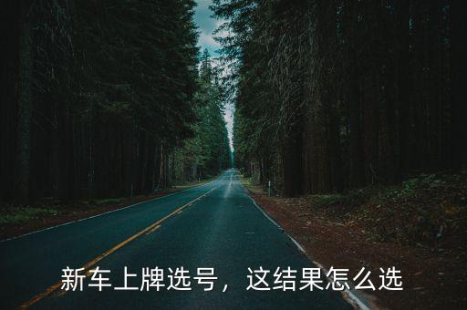 新車上牌選號，這結果怎么選