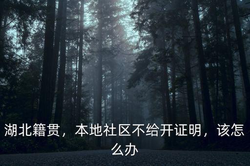 回武漢社區(qū)證明怎么開,武漢社區(qū)可以開接收證明嗎
