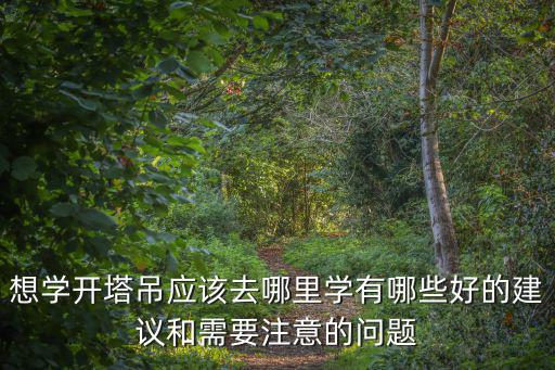 綿陽市哪里有學開塔吊的,哪里有學開塔吊的