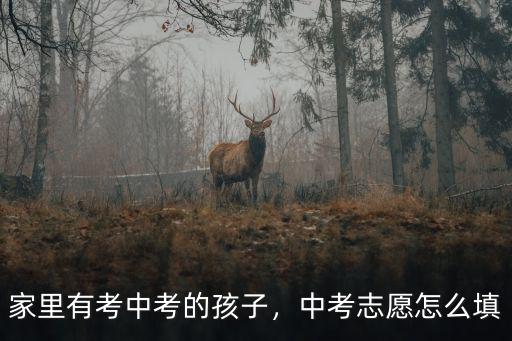 荊州市中考志愿怎么寫,中考志愿怎么填
