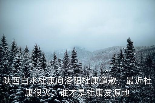 杜康是河南哪里,河南汝陽杜康