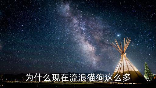 為什么現在流浪貓狗這么多
