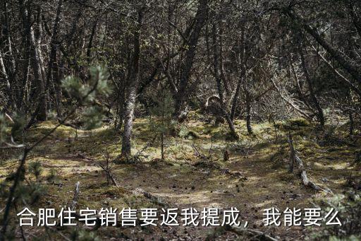 合肥買房子提成一般是多少,合肥現在買房提成到底有多少