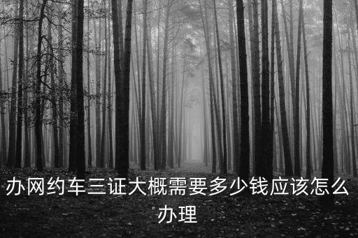 蕪湖辦理網約車證件多少錢,辦網約車三證大概需要多少錢