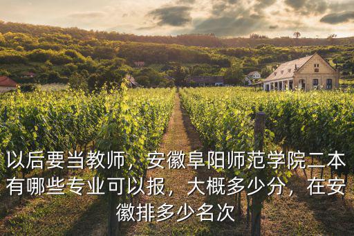 以后要當(dāng)教師，安徽阜陽(yáng)師范學(xué)院二本有哪些專業(yè)可以報(bào)，大概多少分，在安徽排多少名次