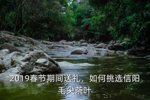 信陽(yáng)毛尖怎么區(qū)分好茶,如何挑選信陽(yáng)毛尖茶葉