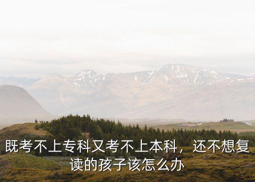 合肥多少孩子考不上本科,既考不上專科又考不上本科