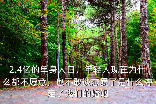2.4億的單身人口，年輕人現在為什么都不愿意，也不敢談戀愛了是什么奪走了我們的婚姻