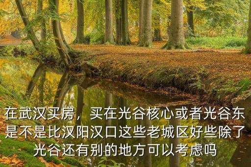 在武漢買房，買在光谷核心或者光谷東是不是比漢陽漢口這些老城區好些除了光谷還有別的地方可以考慮嗎
