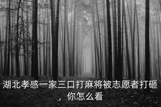 湖北孝感一家三口打麻將被志愿者打砸，你怎么看