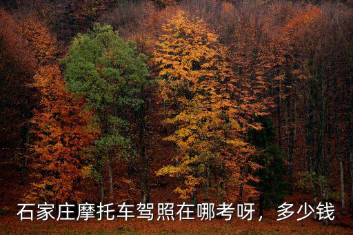 石家莊公交駕校報名費多少錢,在石家莊考駕照需要多少錢