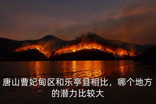 河北省曹妃甸區稻谷多少錢一斤,現在谷子多少錢一斤