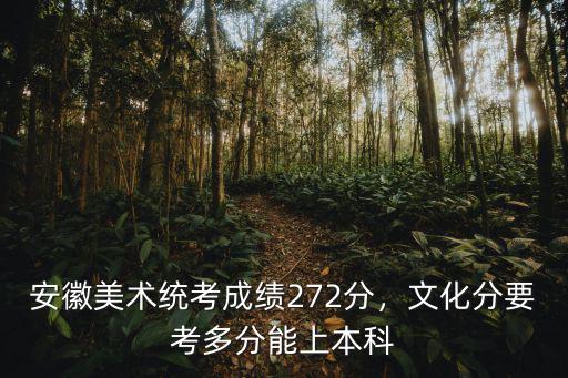 安徽美術統考成績272分，文化分要考多分能上本科