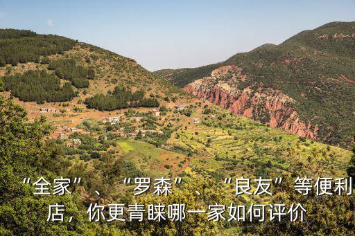 “全家”、“羅森”、“良友”等便利店，你更青睞哪一家如何評價