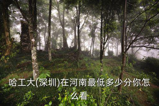 哈工大威海在安徽招多少人,在河南最低多少分