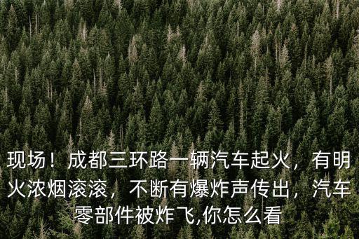 成都哪里起火,成都一小區起火