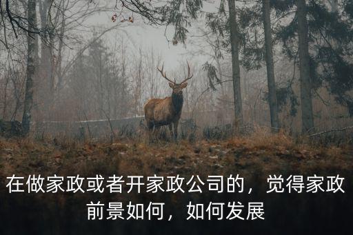 在做家政或者開(kāi)家政公司的，覺(jué)得家政前景如何，如何發(fā)展