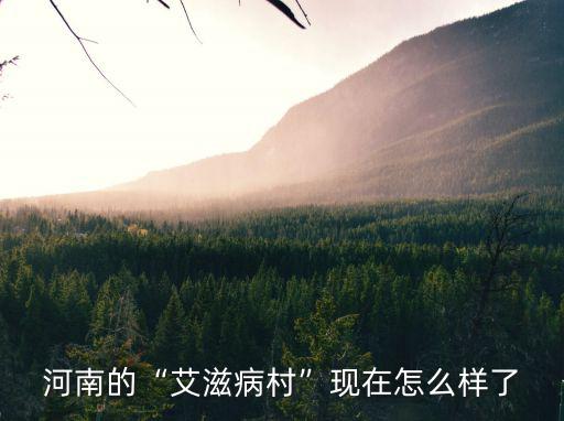 河南艾滋縣怎么發(fā)現(xiàn)的,河南的艾滋病村