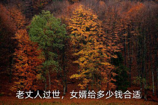 阜陽老人過世給多少錢合適,女婿給多少錢合適