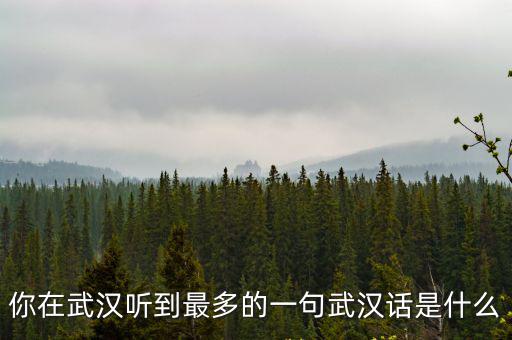 你在武漢聽到最多的一句武漢話是什么