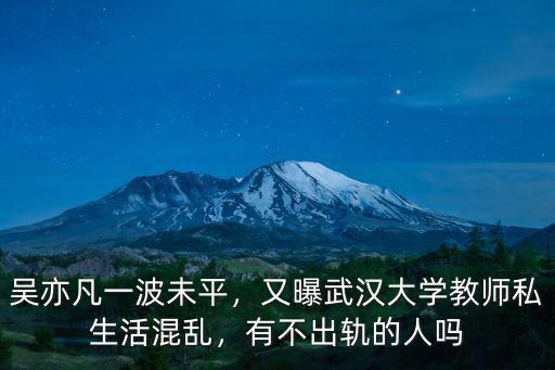 武漢大學劉莉老師人怎么樣,武漢學院怎么樣